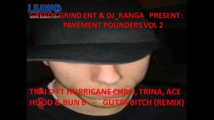 Trai D Ft Hurricane Chris, Trina, Ace Hood & Bun B - Gutta Bitch (remix)