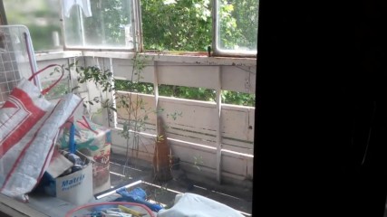 Vid_20160520_132917