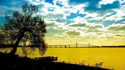 Nature in Yellow