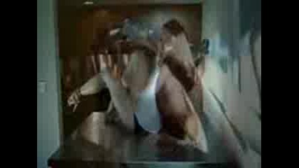 Dan Balan - Chica Bomb 