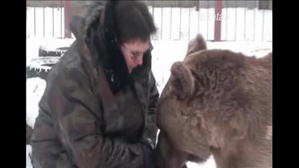 Приятелство между мечка и човек