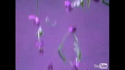 Will Downing - Test Of Time