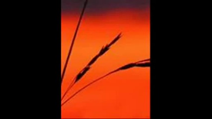 Chris Spheeris - Psyche