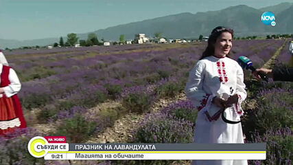 Празник на лавандулата в Карлово