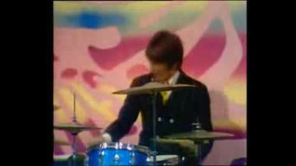 Turtles - Happy Together