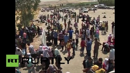 Syria: IS take control of last Syria-Iraq border under govt control - reports