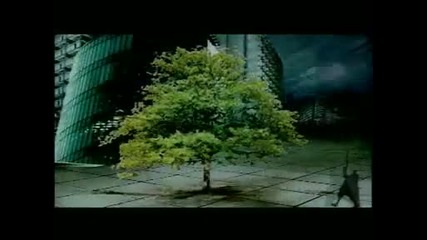 William Orbit - Barbers Adagio For Strings