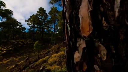 Terje Sorgjerd - The Mountain Thomas Bergersen - Soulseeker