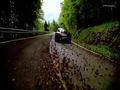 Porsche 911 Carrera 4 and 4s 911 (2013)