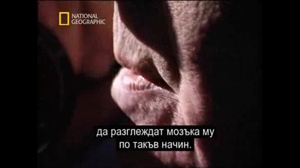 Геният на айнщайн - National Geographic + Бг sub част1/2