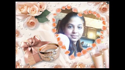 stefi