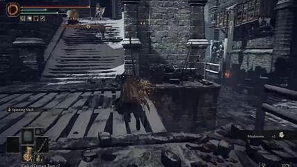 Elden Ring + Multiplayer