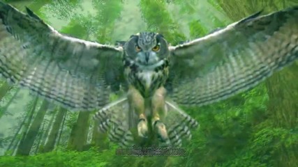 Deep Forest - Deep Forest Assorticreative