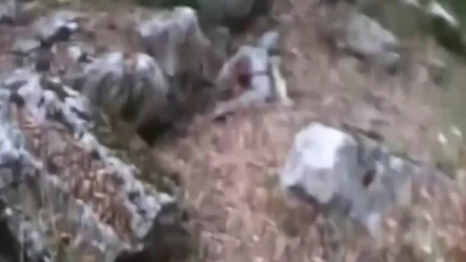 истинско извънземно