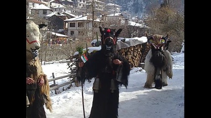 surva 2009 Elovdol