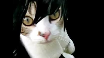 Ох Моята Котка Е Емо