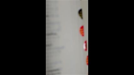 Vid_20230317_153635.mp4