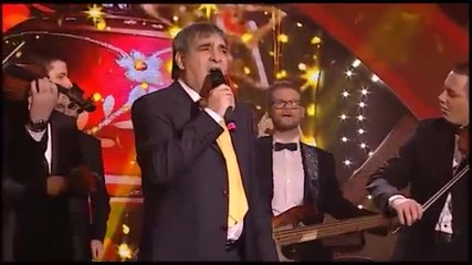 Ljuba Alicic - Ti ne licis ni na jednu