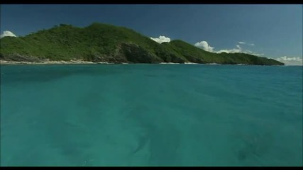 eden island
