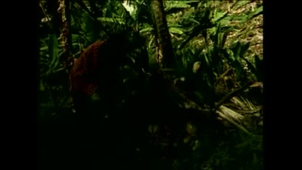 The Prodigy - voodoo people (original)
