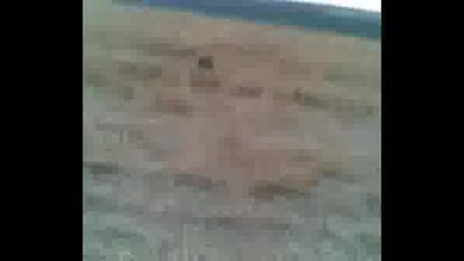 Av K Www.dog - Ejdan.com