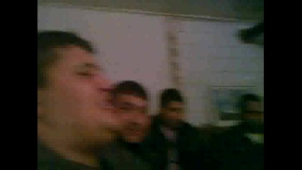 anam anam Tilki 