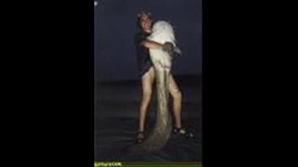 Creatures Of The Deep