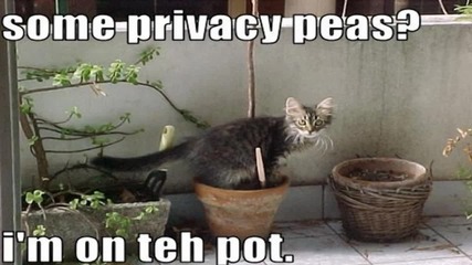 Много Забавни Животни ;) * High Quality *
