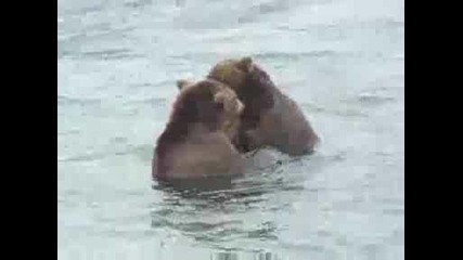 National Geographic - Bear Iver Romp, Mcneli River