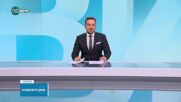 Снежно леопардче се роди в зоопарк във Великобритания