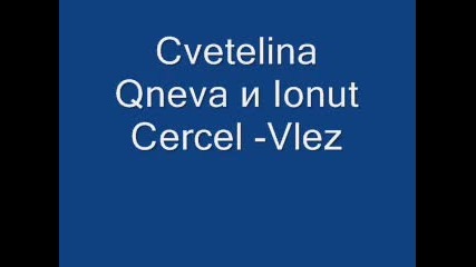 Cvetelina Qneva и Ionut Cercel - Vlez 