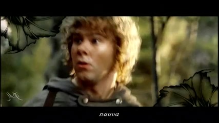 Lord of the Rings - Entering Lorien with lyric