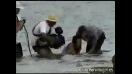 Miley Cyrus and Liam Kissing @ Beach Official Movie Scene