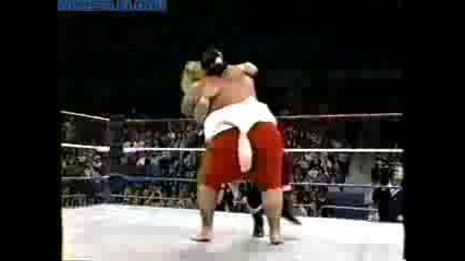 Дебют На Yokozuna