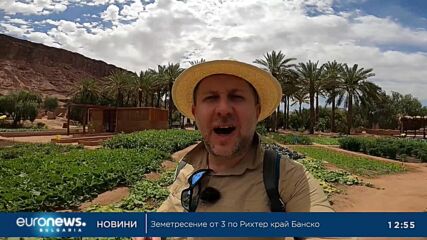 Ела в...Оазисите с плодове и зеленчуци