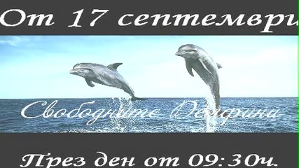 сериал - Свободните делфини