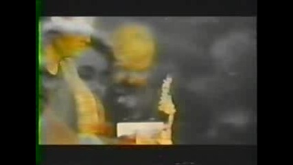cranes - adoration