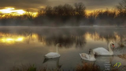 Chad Lawson - Swan Lake