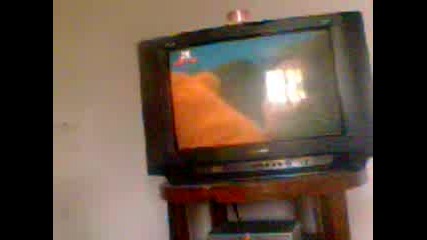 Видео001