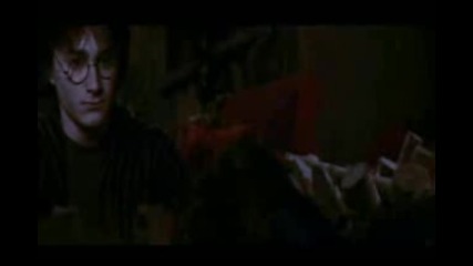 Fly On The Wall - Hermione and Harry * 