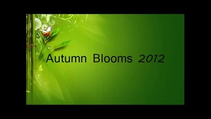 Fridrik Karlsson,..another World,..(total Balance),..autumn Blooms 2012.