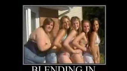 Funny Pictures