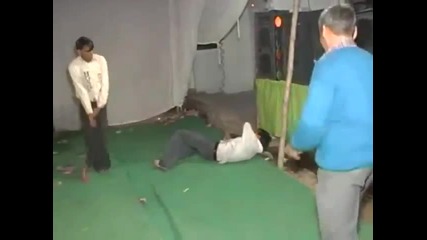 Страхотно пакистанско диско- Голям Смях