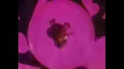 Sailor Moon - I Become Of U