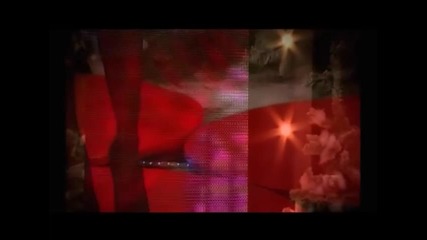 Tanja Savic - Mito bekrijo - Novogodisnji program - (TvDmSat 2012)