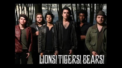 Lions!tigers!bears! - Courage Wolf