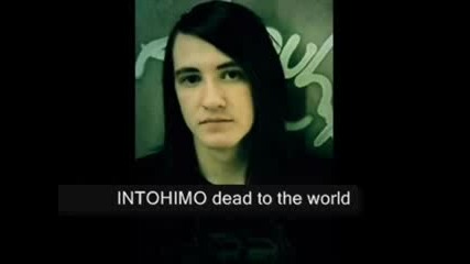Intohimo - Dead to the world