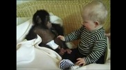 Бебе и Маймунка