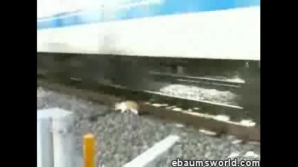 Развалиха И Съня.. 