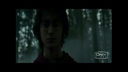 Harry Potter And The Half Blood Prince